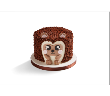 Hedgehog Cake